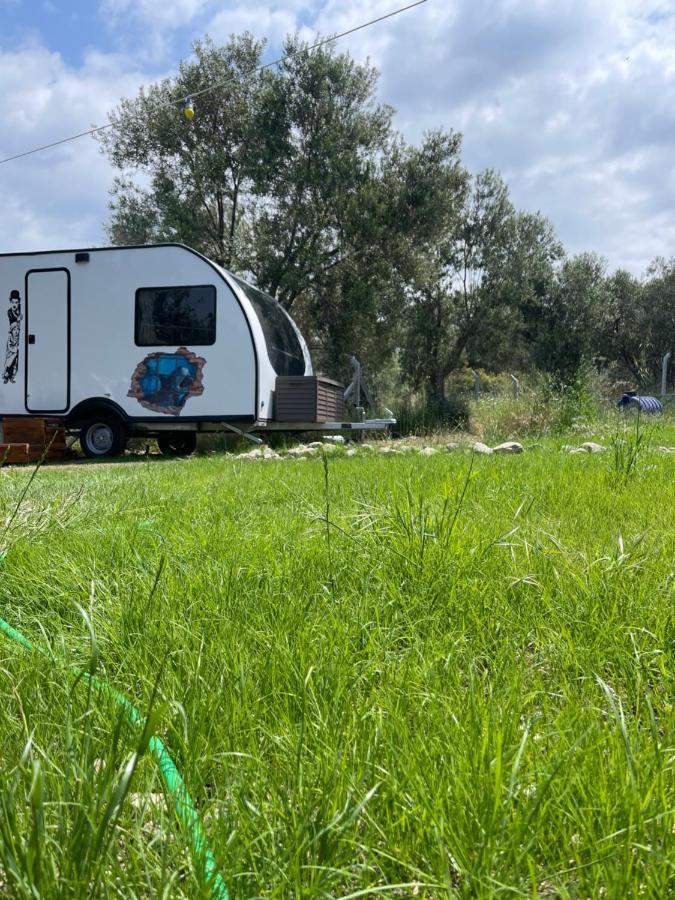 Bademli Caravan Garden ديكيلي المظهر الخارجي الصورة